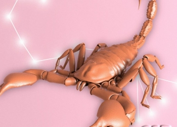 The Year 2021 will Remain Somewhat Mixed for Scorpions