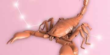 The Year 2021 will Remain Somewhat Mixed for Scorpions