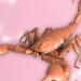 The Year 2021 will Remain Somewhat Mixed for Scorpions