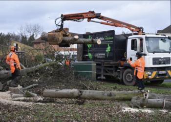 GraftinGardeners – The role of the Rybinski brothers in finding the London-based tree care services
