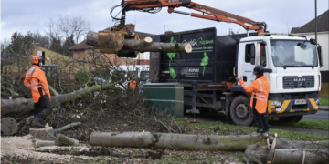 GraftinGardeners – The role of the Rybinski brothers in finding the London-based tree care services