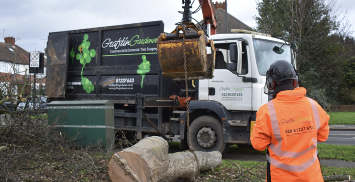 GraftinGardeners – Efforts to promote forestation and minimize the dangers of deforestation