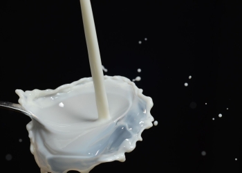 Why Should Coco Mama’s Coconut Milk Be in Your Kitchen?